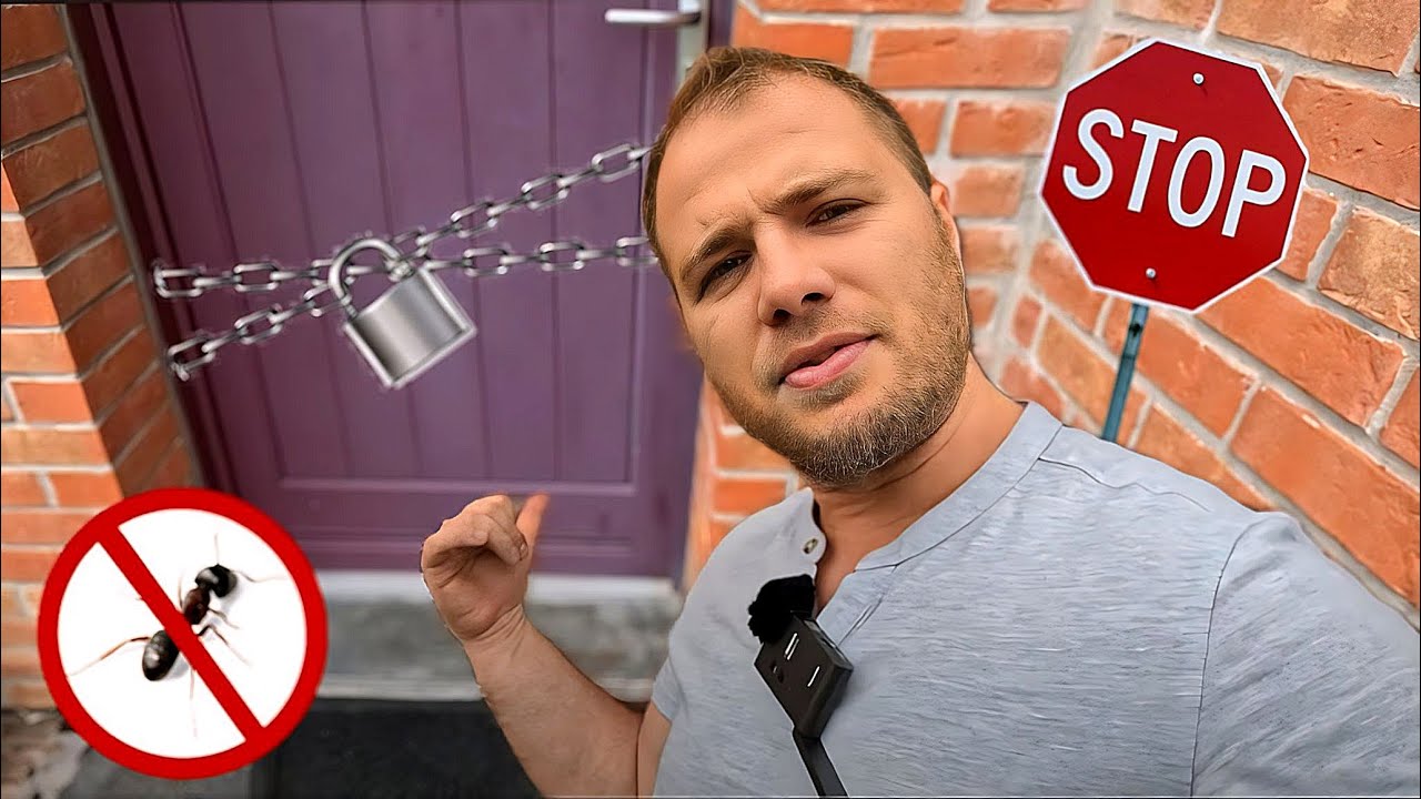Comment empêcher les fourmis de rentrer chez soi ?