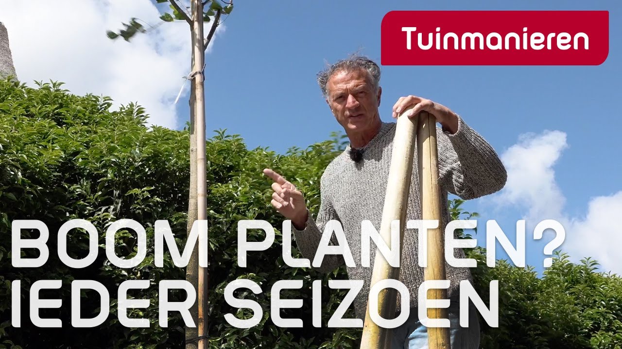 Boom planten, ieder seizoen | Tuinmanieren