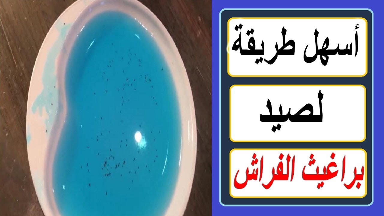 #التخلص_من_البراغيث / كيفية التخلص من البراغيث في الفراش نهائيا
