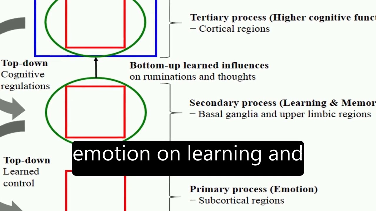 The Influences of Emotion on Learning and Memory | RTCL.TV
