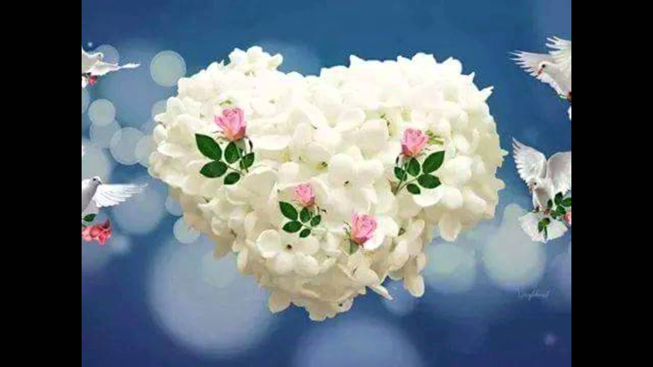 Juventud y sus teclado Falsa y traicionera vol.10