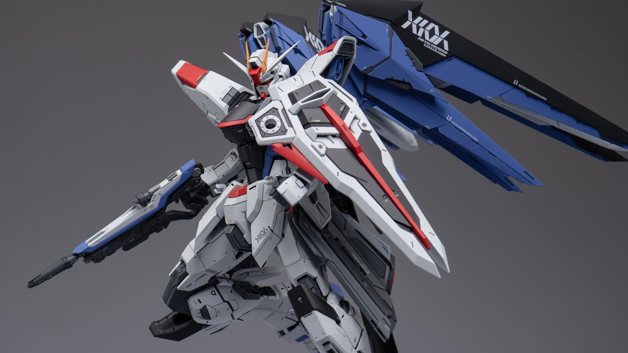 Build a MG Freedom Gundam you have never seen!