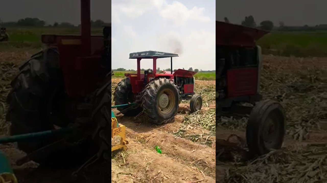 Animal's Salj Making Process With tractor Use 🚜