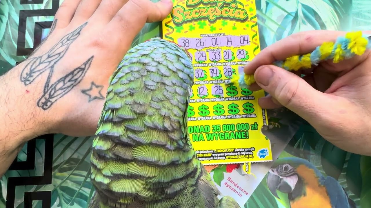 10 lutego 2026-tylko zdrapki po 10 zl i super linie