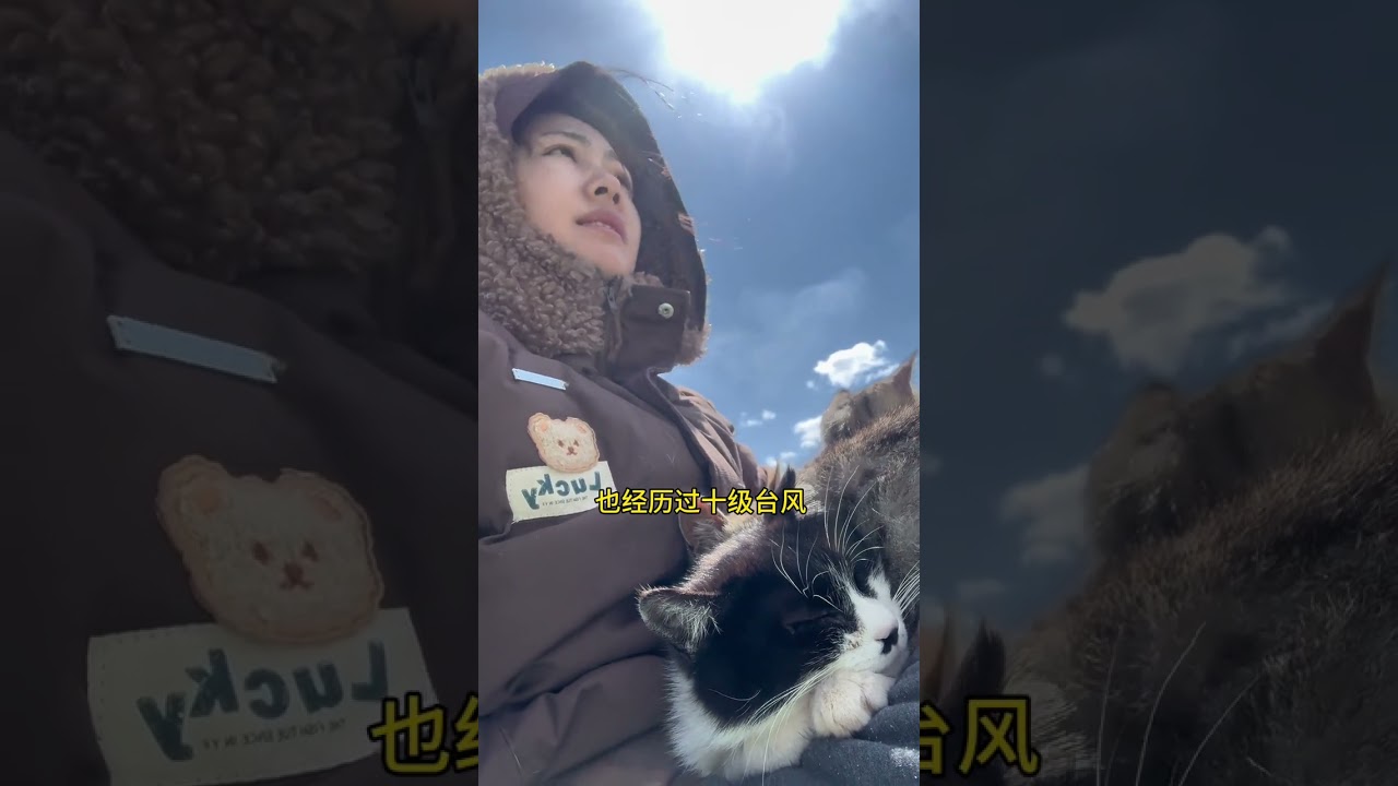 Three Years of Pomu's Life: Stray Cat Adventures & Crispy Pork Delights
