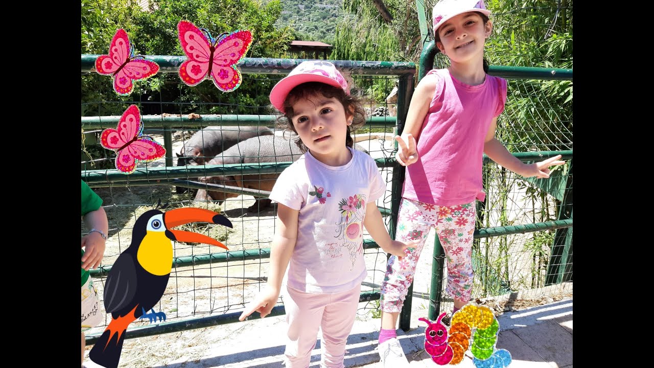 🦁 Ire&Bea allo Zoo Fasano 🐯#zoofasano #animali #safari