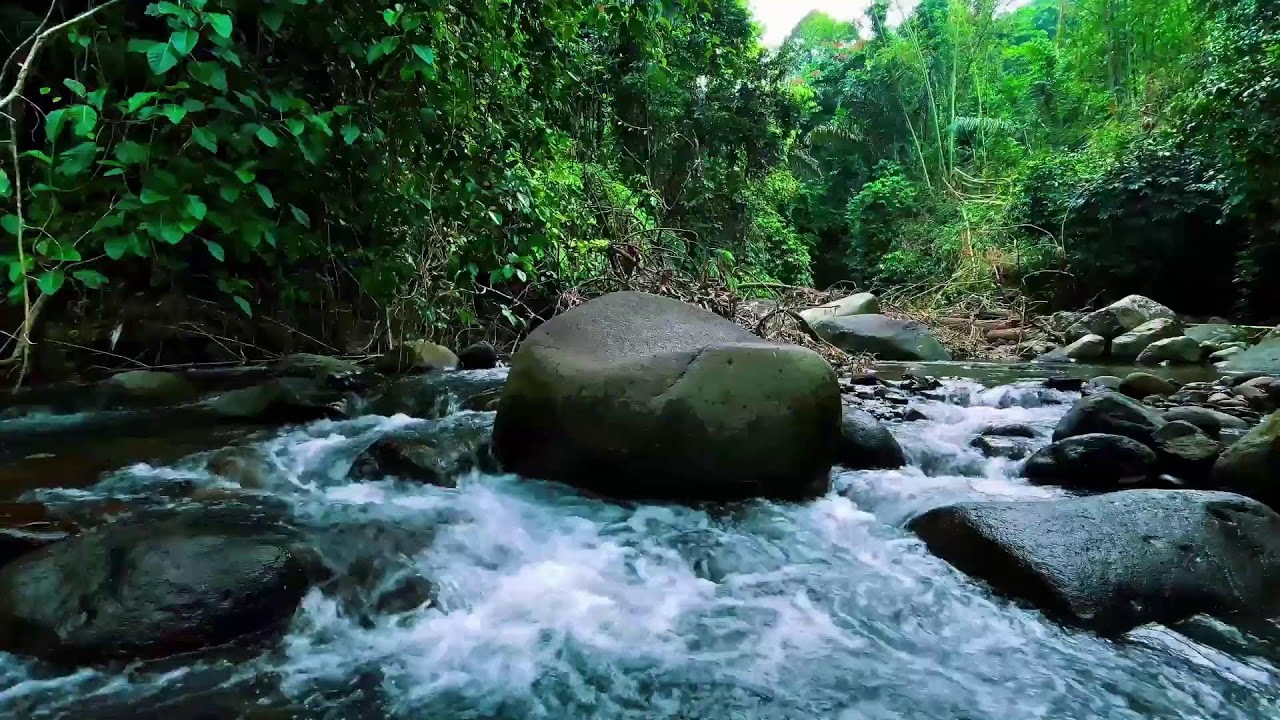 Calming River Sounds for Deep Sleep 💧 Relaxing Water Ambience for Sleeping & Study