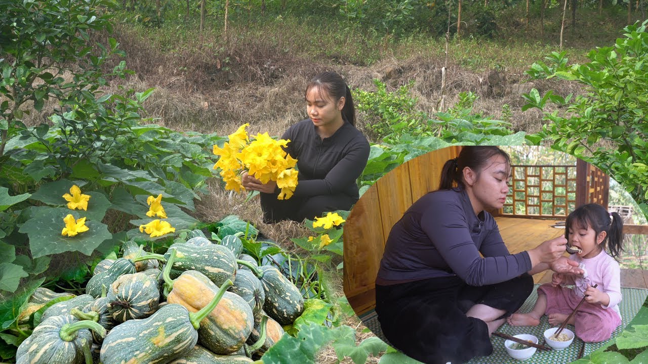 Single Mom's Daily Life: Earning Money from Pumpkin Harvest to Feed My Little Girl