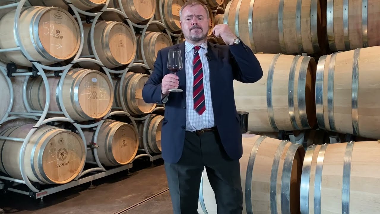 Обзор вина: Tenuta San Guido Sassicaia Bolgheri 2021