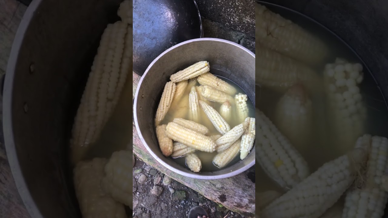 Boiled white corn || meryenda