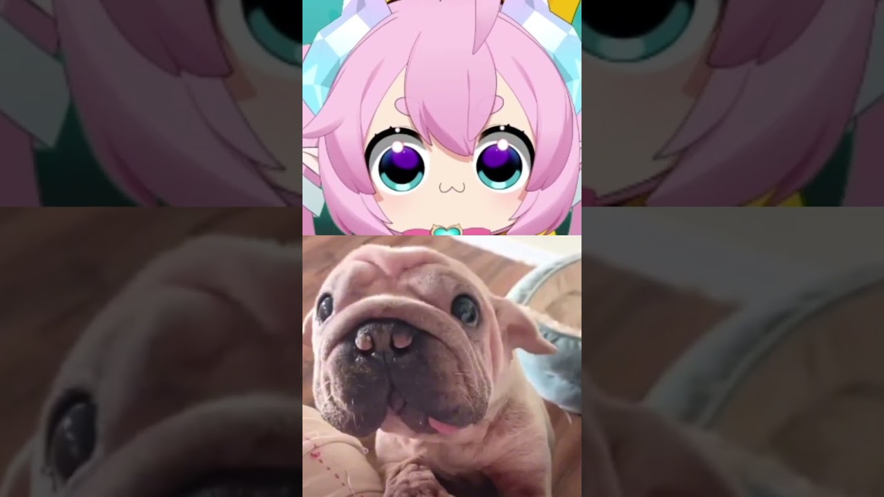Я похож на эту собаку?! #шорты #чибидоки #vtuber