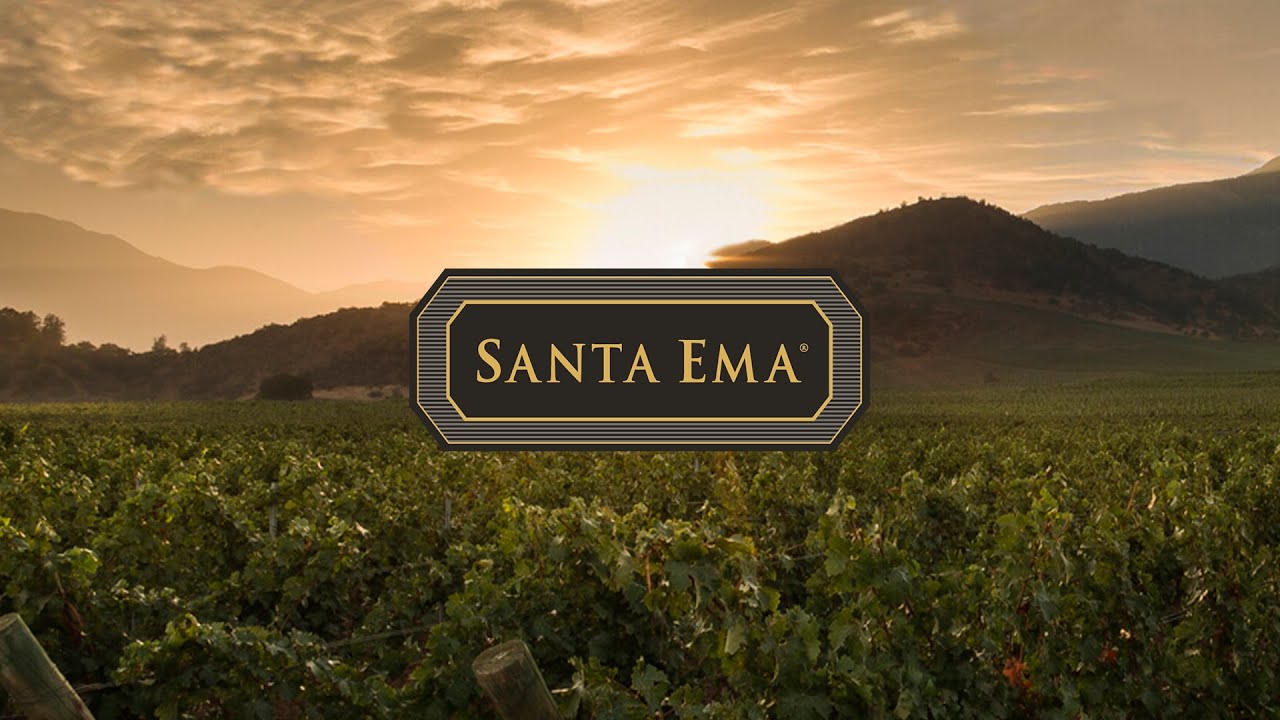 Conoce Viña Santa Ema | Direct Wines