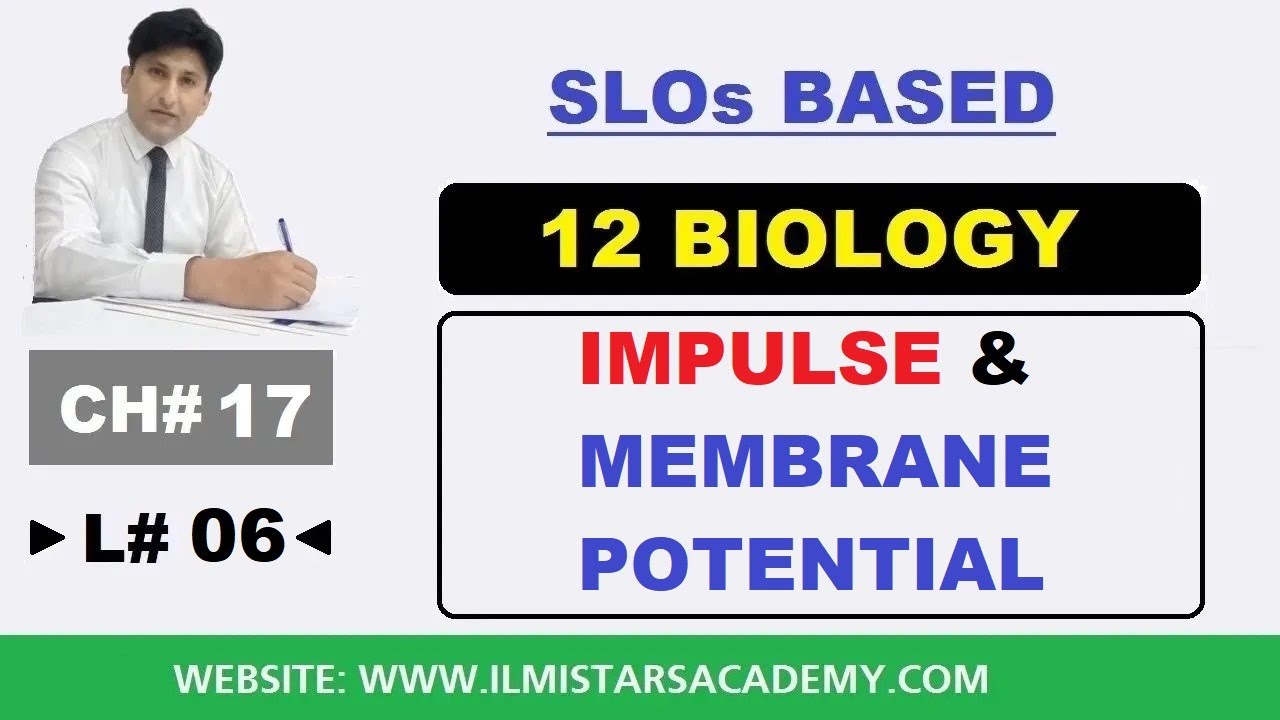 Impulse and Membrane Potential, Chapter 17 Nervous Coordination