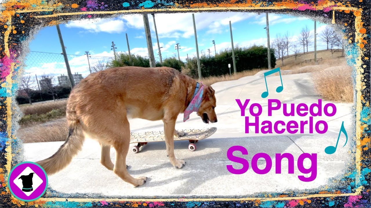 Can Acacia Skateboard? - Motivational Song - I can do it! - en Español
