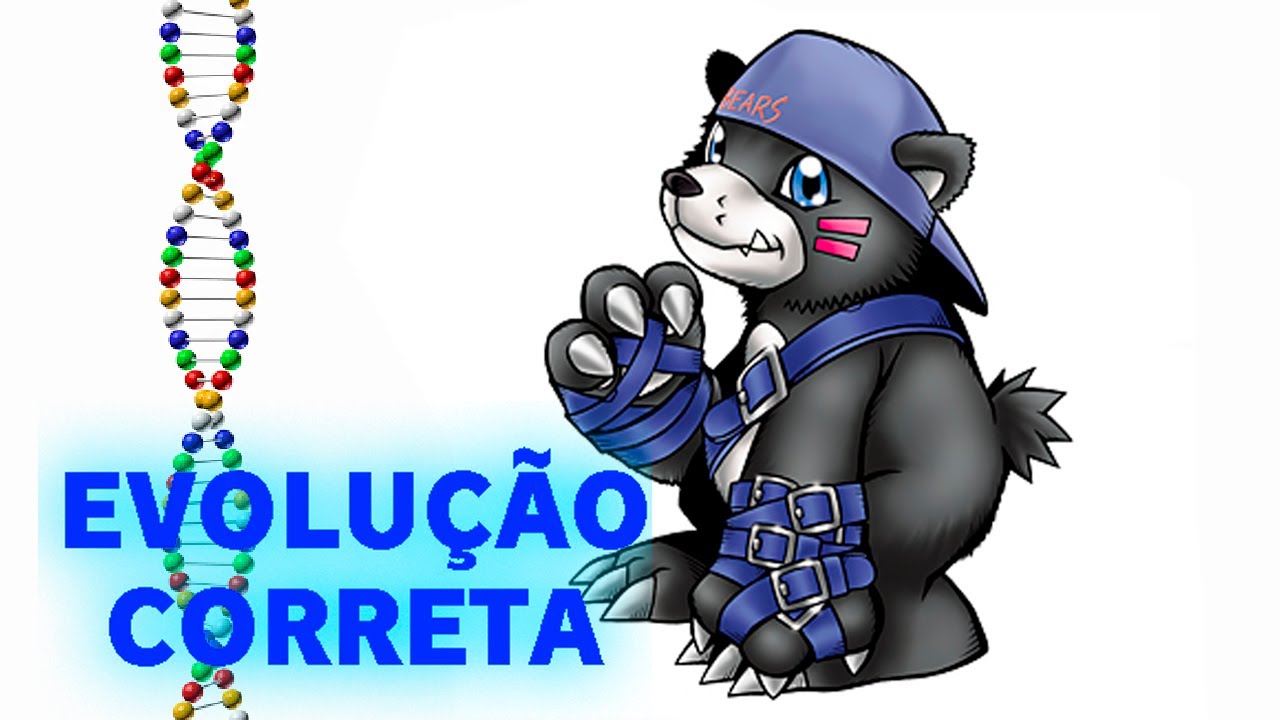 Bearmon - Evolução Correta