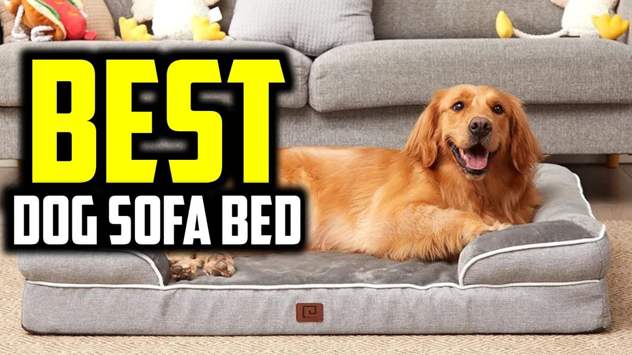 ☑️ Top 5 Best Dog Sofa Bed of 2025 : Who wins in 2025 ?..😍✨