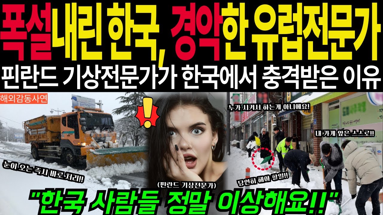 [해외감동사연] 핀란드의 놀라운 제설기술보다 뛰어난 한국의 기술은? 폭설로 겨울왕국된 한국보고 경악한 핀란드 기상전문가!