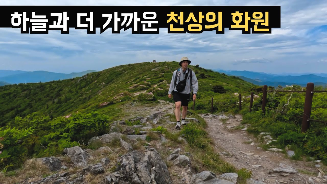 겨울 눈꽃보다 더 좋은 여름 태백산국립공원 【등산】