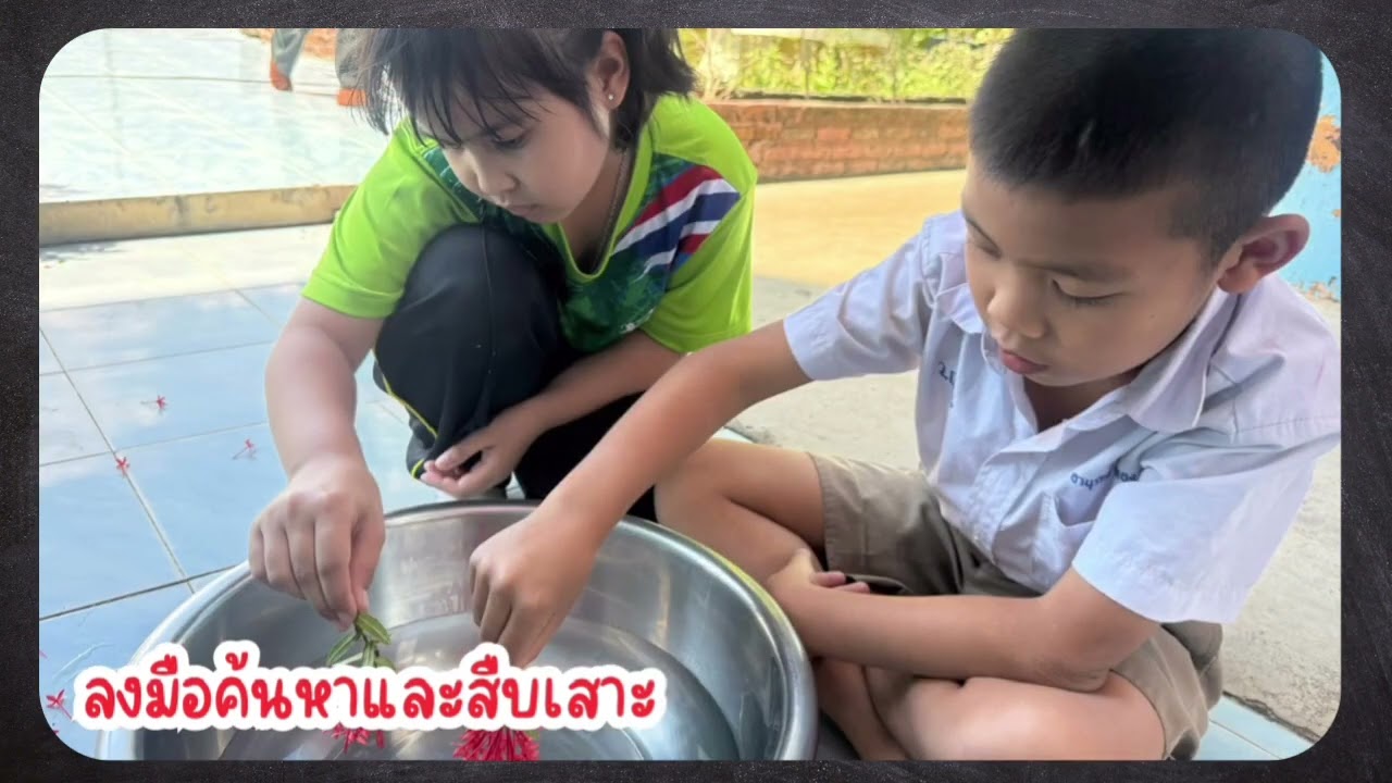 กิจกรรมภาพสะท้อน ป.2