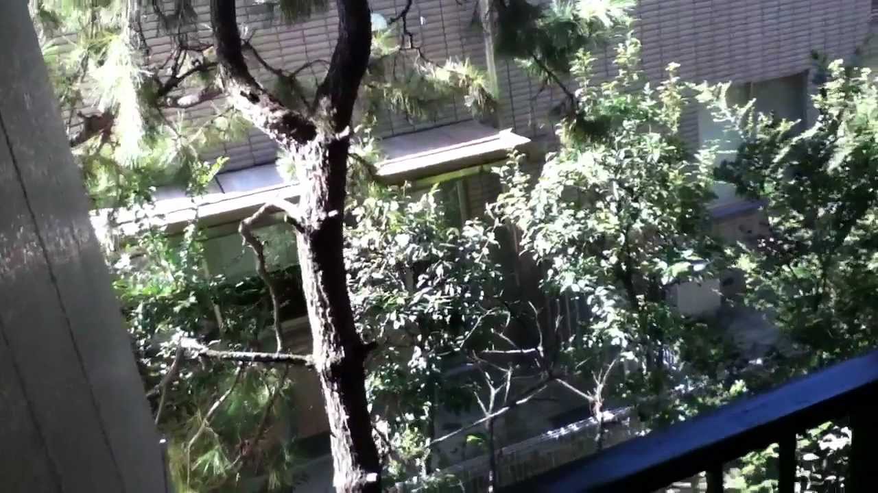 Apartment in Senrioka (Osaka) Japan