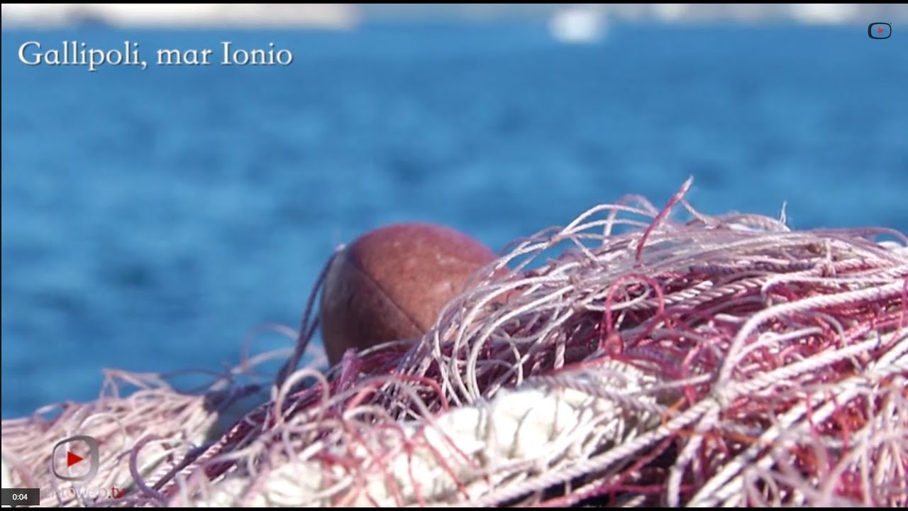 Gallipoli: la città bella e la crisi della pesca