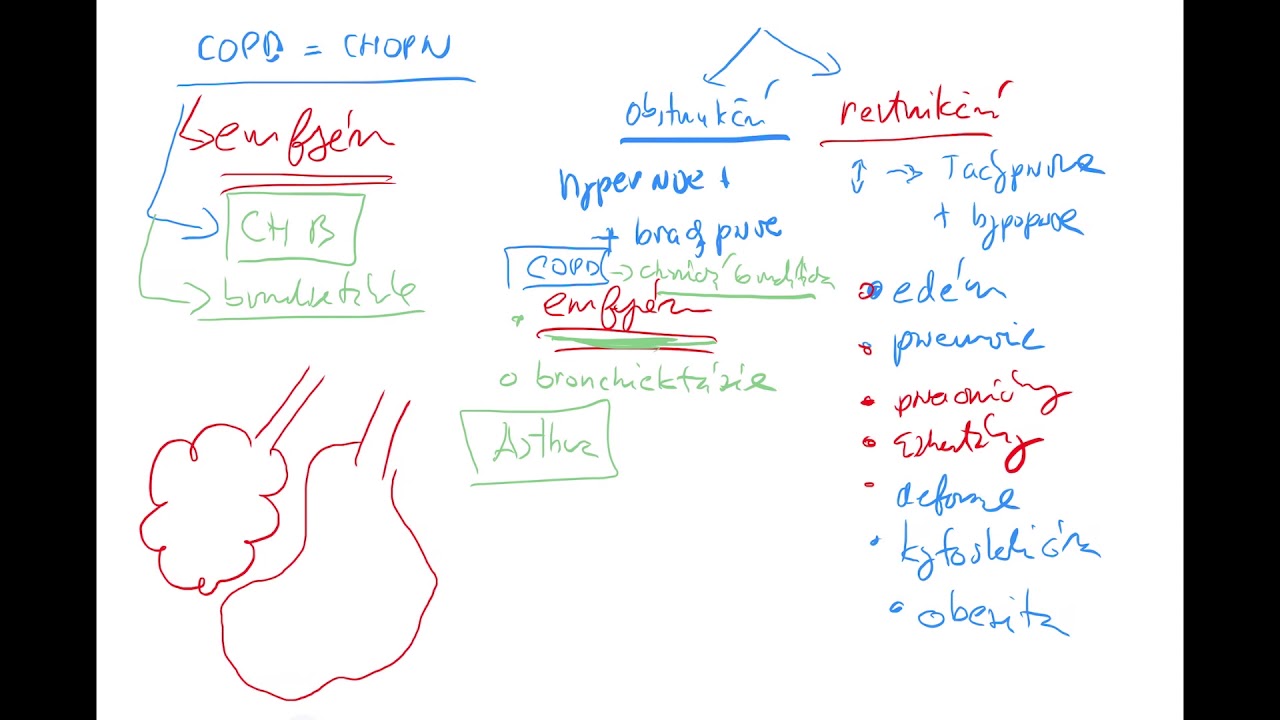 ABR 4 by Coiled CZECH (ABB, CHOPN=COPD, hypoventilace, obstrukcni, restrikcni, emfyzem, astma, FEV1)