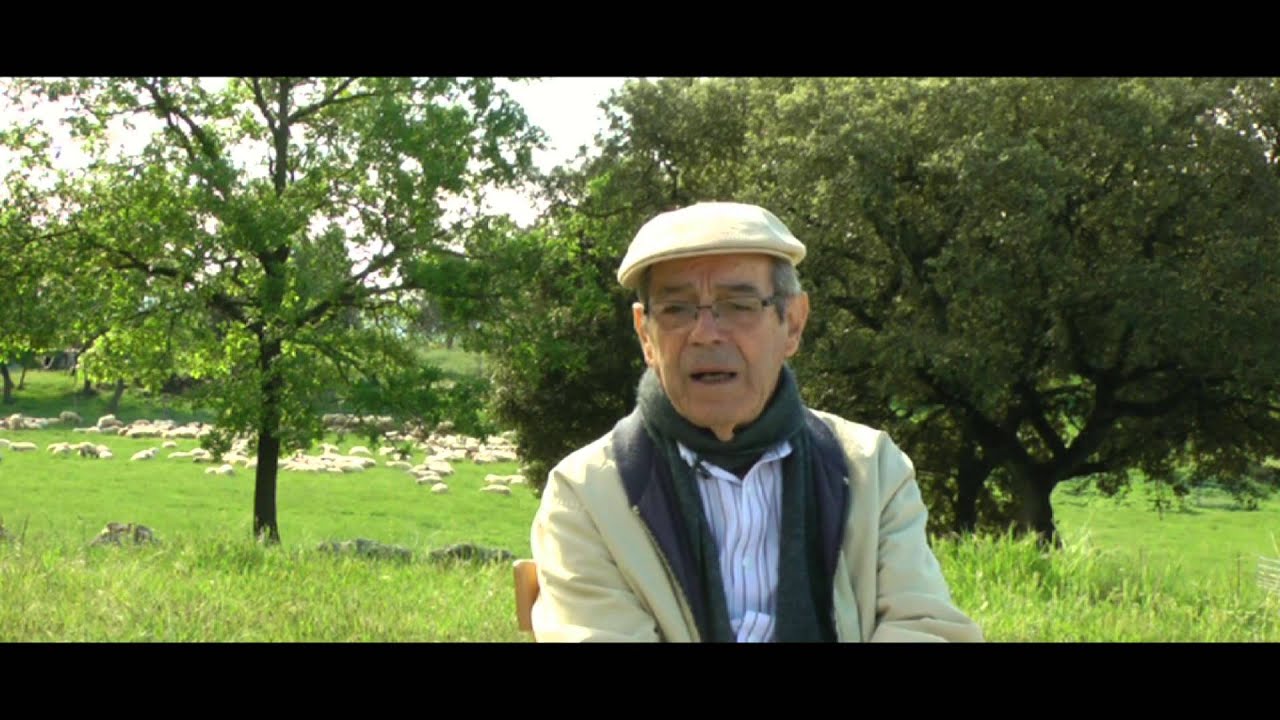 ENTREVISTA A LUIZ CARLOS PINHEIRO MACHADO (1 DE 3)