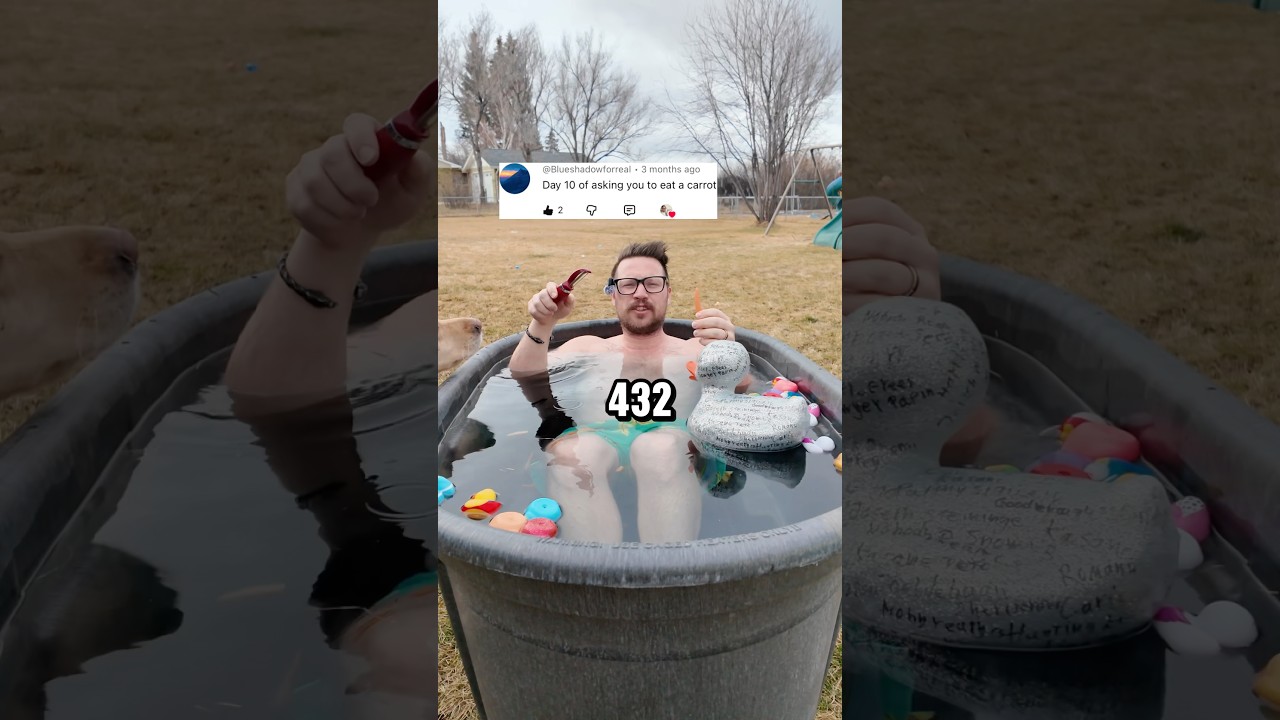 День 432. Прошу @MrBeast пригласить меня на челлендж, прежде чем я наберу миллион подписчиков.