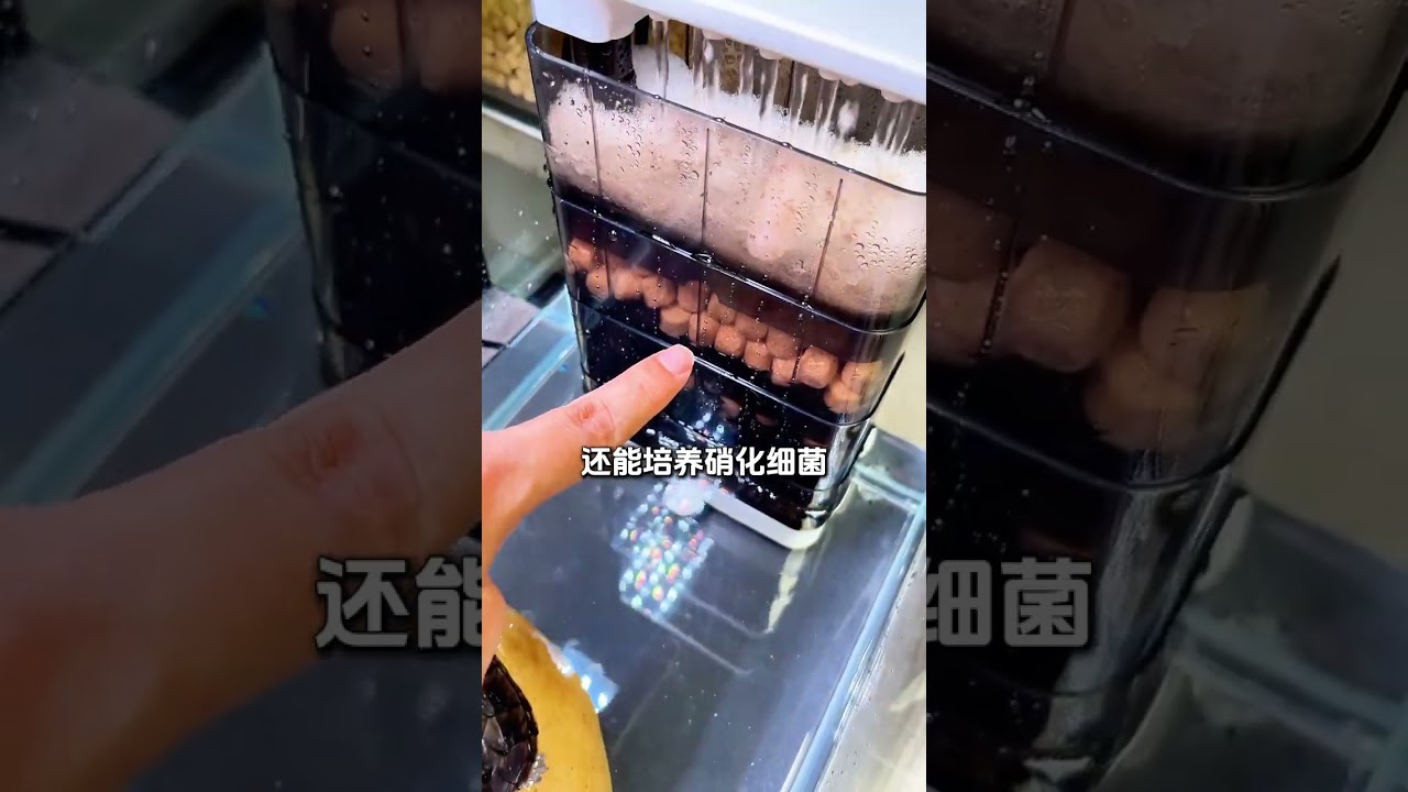 低水位过滤器，养龟专用 即使水位低至2厘米，它也能循环过滤整缸水！让龟缸始终保持干净透亮，龟龟生活的舒舒服服！
