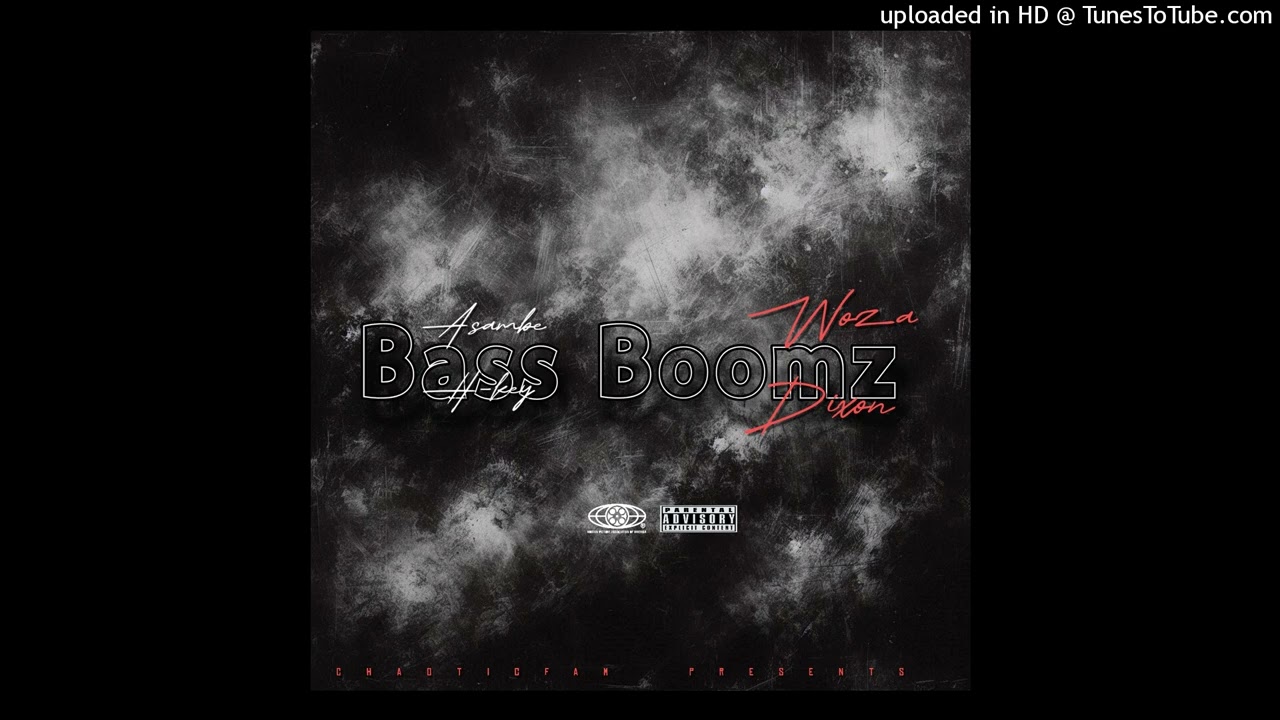Bass Boomz(feat Woza Dixon)