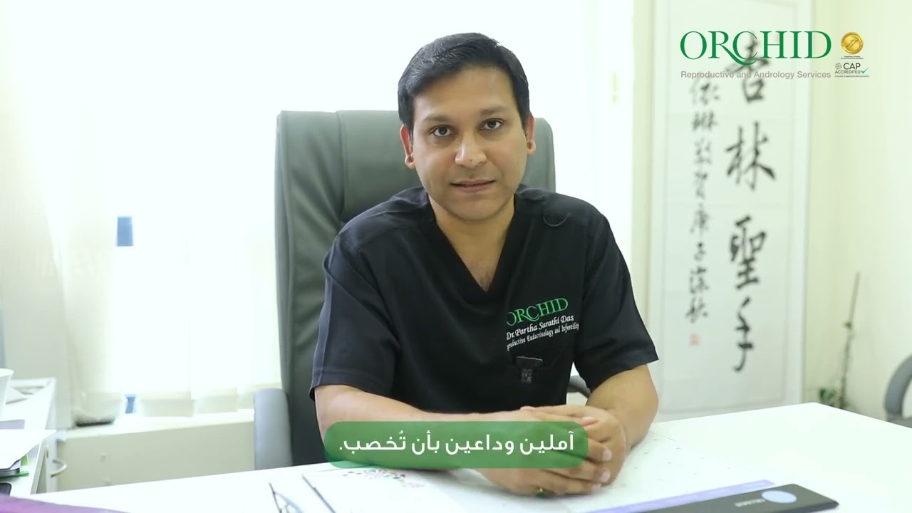 What happens during the IVF process?