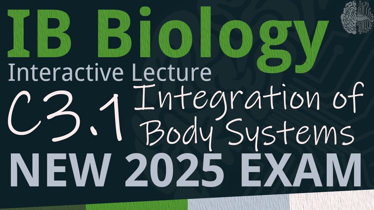 IB Biology C3.1 - Integration of Body Systems [SL/HL] - Interactive Lecture 2025-2033