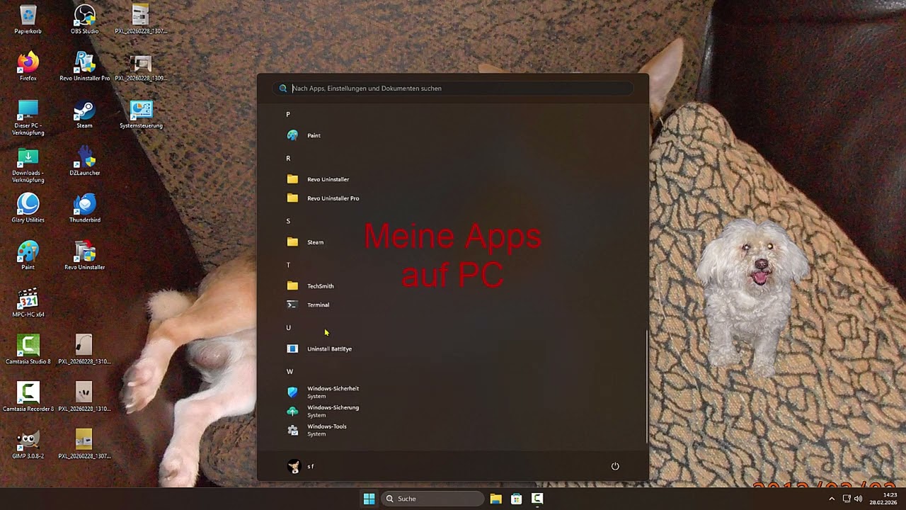 Windows 11 25H2