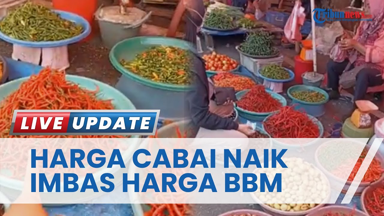 Harga BBM Naik, Harga Cabai Merah Keriting di Bengkulu Ikut Naik hingga Tembus Rp 120 per Kilogram