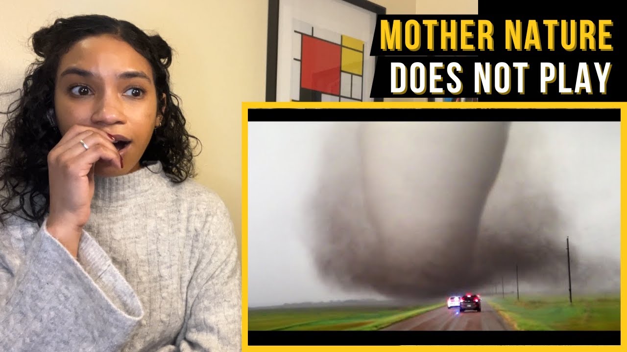 Craziest Nature Videos of the Decade |  Daily Dose of Internet reaction