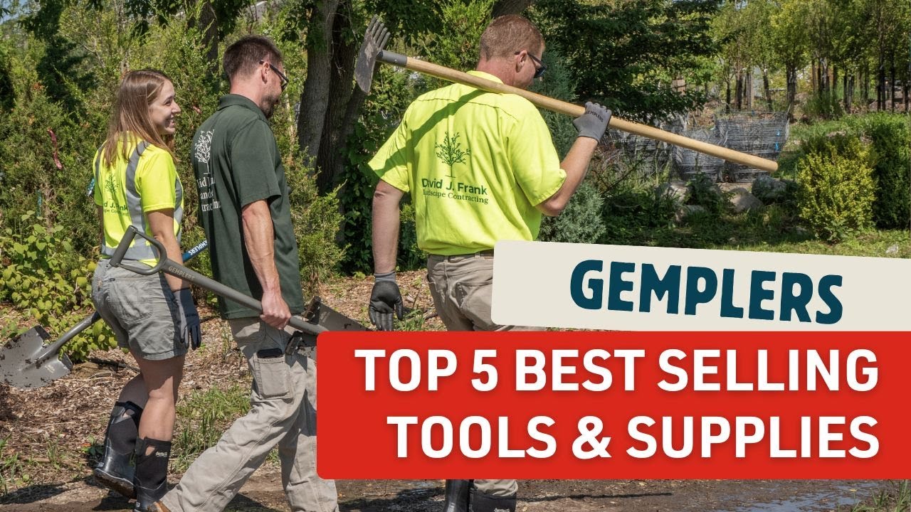 Топ-5 бестселлеров Gemplers