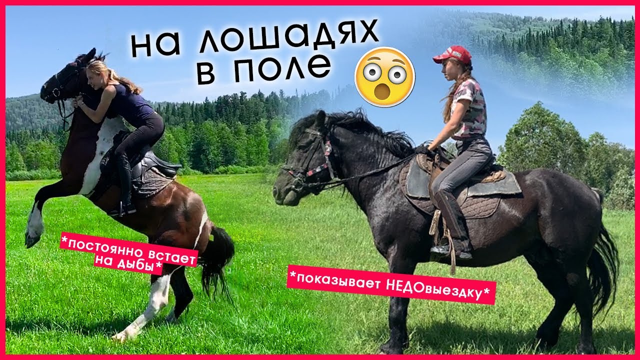 Чуть не СКИНУЛА ЛОШАДЬ В ПОЛЕ !? / ВЛОГ с Майзаса