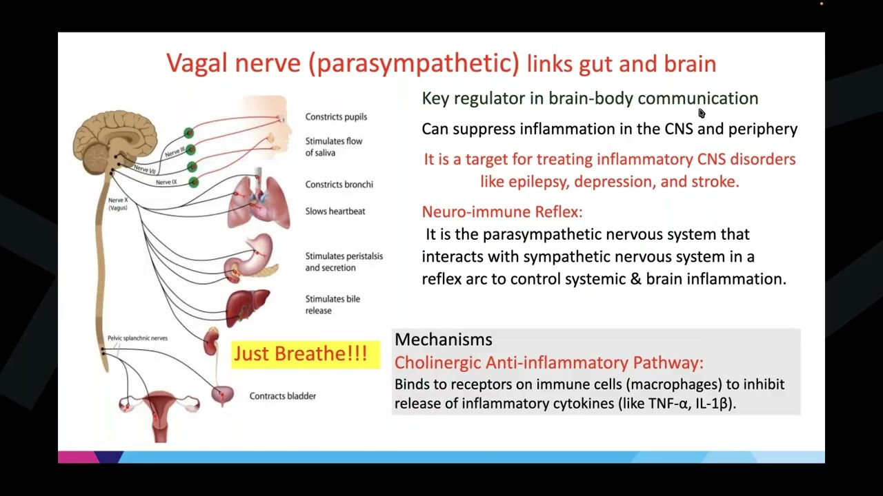 The Gut-Brain Axis and Psychosis