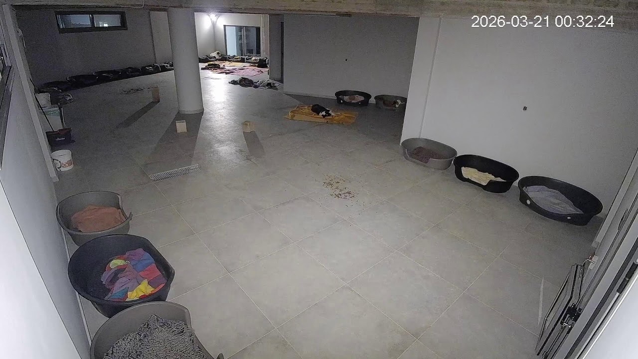 Live : Friday night at the shelter ! outside is cold weater !
