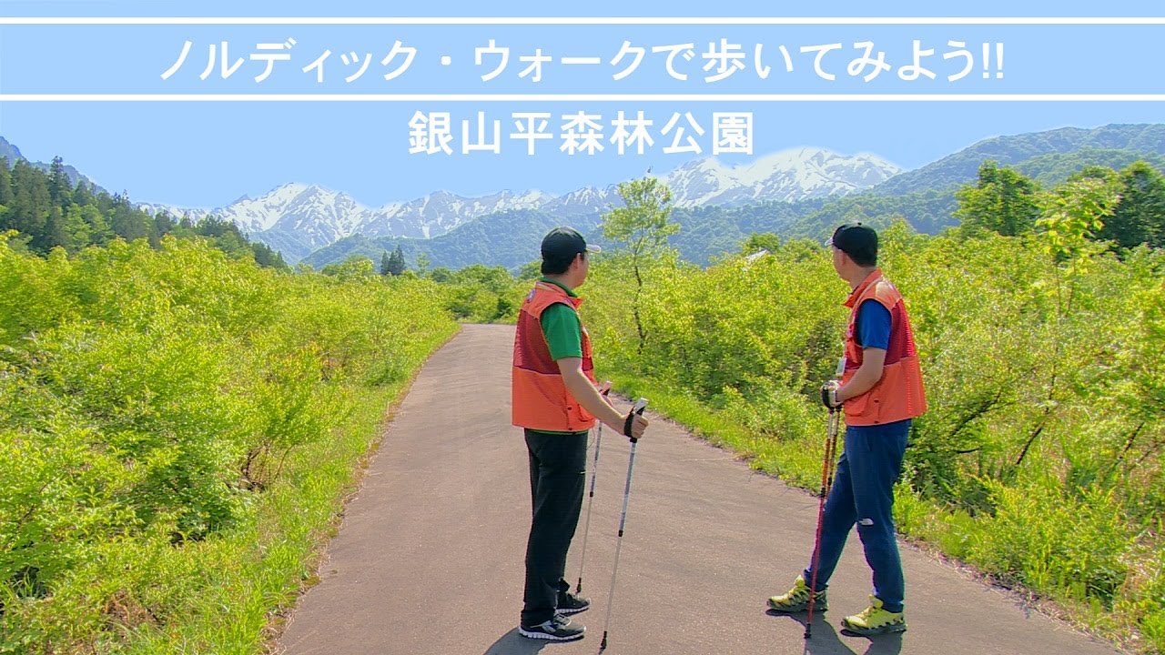 ノルディック・ウォークで歩いてみよう！「銀山平で自然観察」