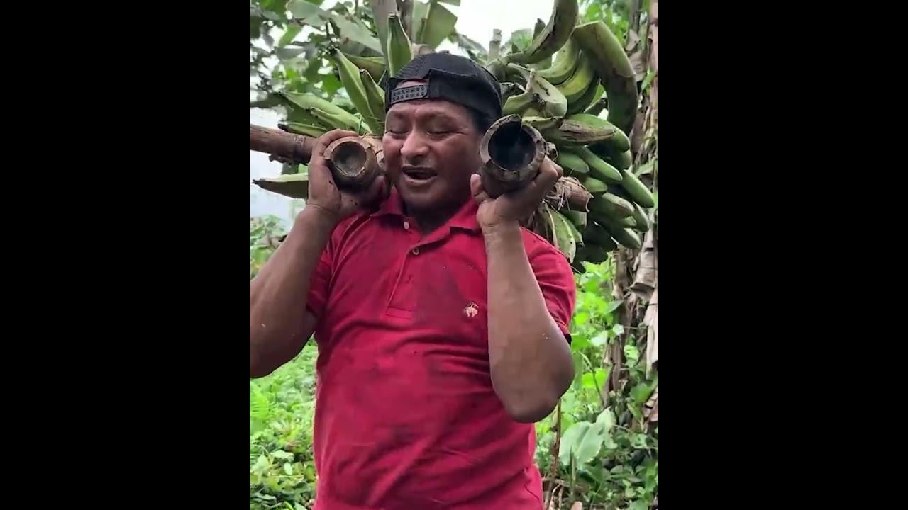 El duro y arduo trabajo en el campo para solventar día a dia