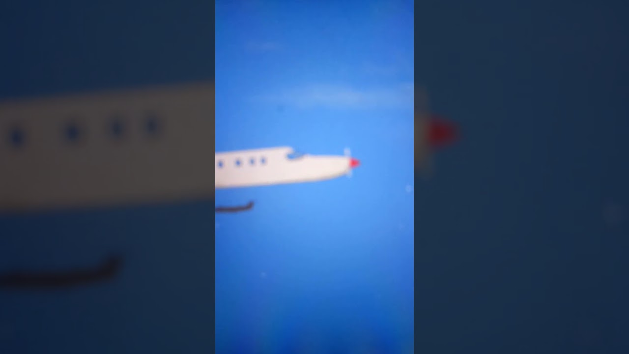 GALAPA AIRWAYS FLIGHT 4482 - LANDING ANIMATION