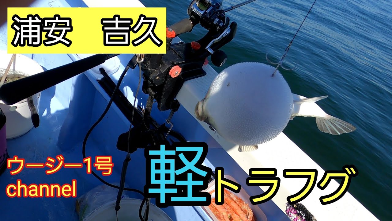 浦安吉久さんで軽トラフグ釣り(2025年2月)