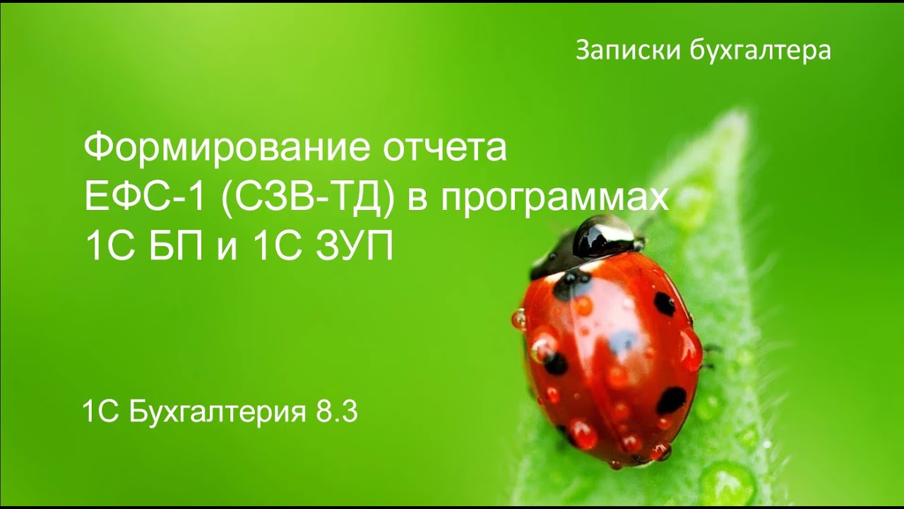 Формирование ЕФС-1(СЗВ-ТД) в 1С БП и 1С ЗУП