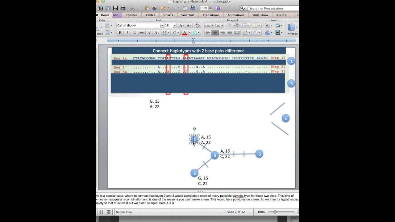 10 Dec Haplotype Networks Reading Guide