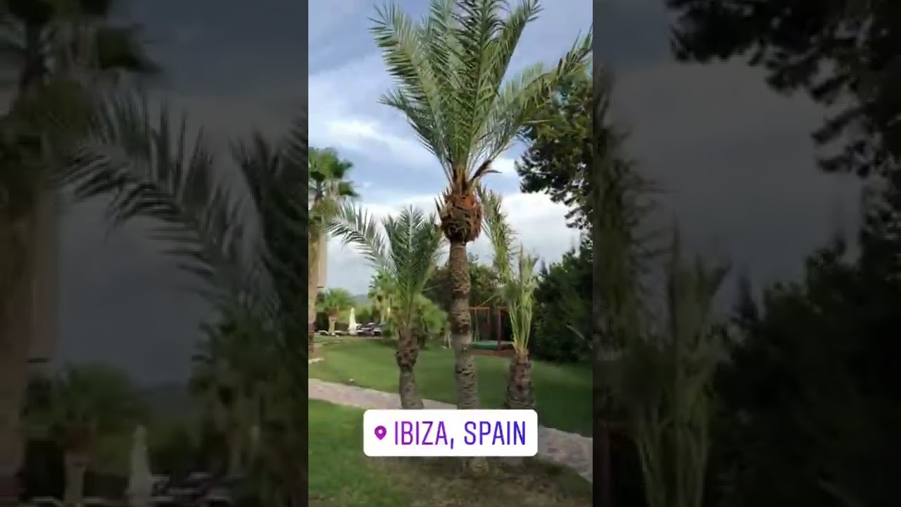 Rich kids of Mexico part (1)