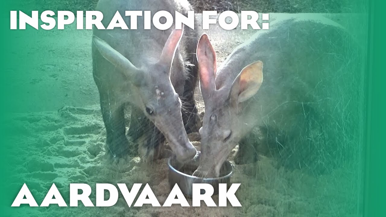 2 Real Aardvark Habitats! (Planet Zoo Inspiration)