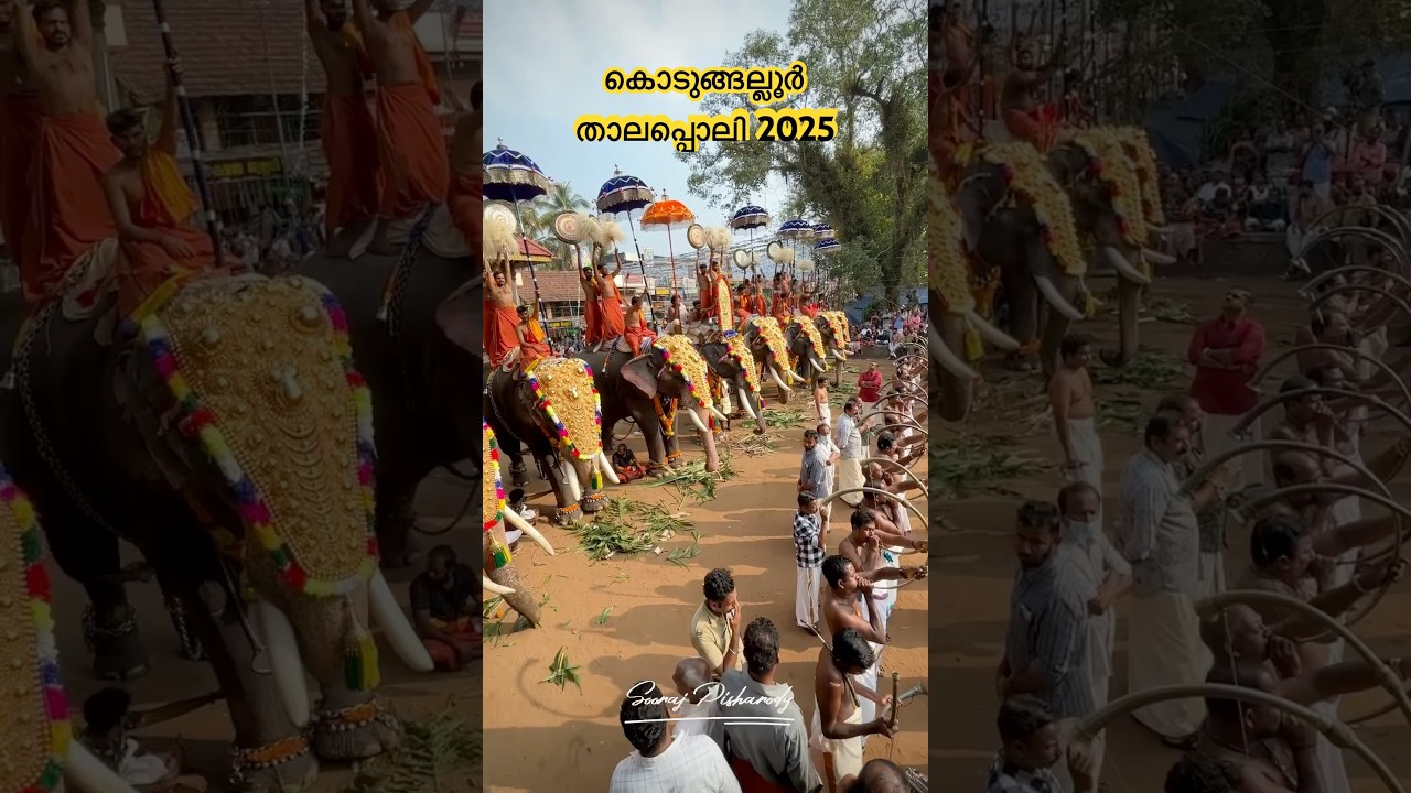 #kodungalloor #thalappoli #2025 #viralshort #viralreels #trendingshorts #kerala #chendamelam #melam