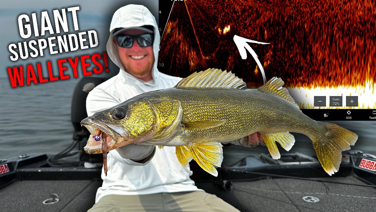 Jigging For GIANT Suspended Walleyes Using Garmin Livescope!