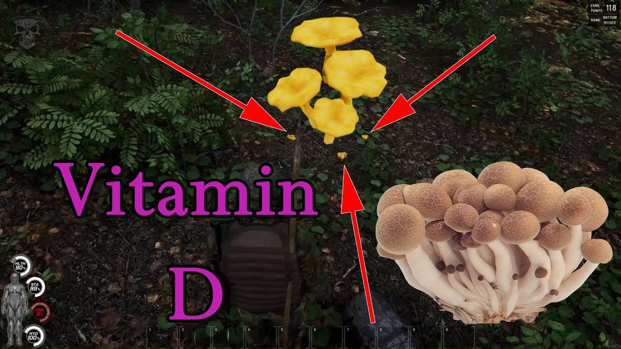 Scum Tutorial and Guide Vitamins D restore and increase intake of mushrooms